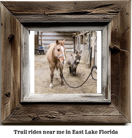 trail rides near me in East Lake, Florida